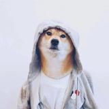 柠檬阿七丶头像