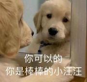 小黄FE的个人资料头像