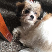 蔥蔥的个人资料头像