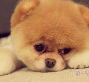 TO_JION的个人资料头像