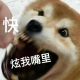 朝气蓬勃的中华小当家头像