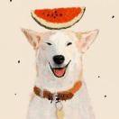 xulindev的个人资料头像