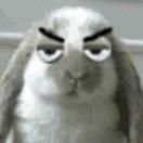 郑聪同学的个人资料头像