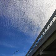 Wolf的个人资料头像