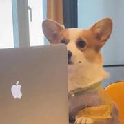 犄角797的个人资料头像