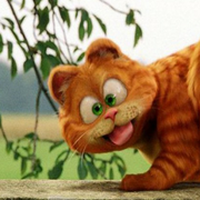 皛月的个人资料头像