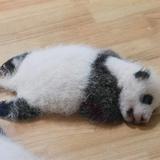 涵儿939头像