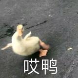 飞行器的执行周期头像