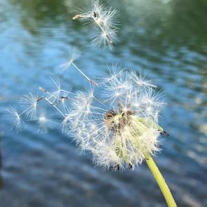 魔芸盒子头像