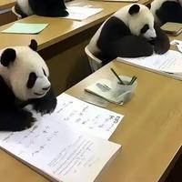 穷则独善其身943头像