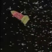 康20的个人资料头像