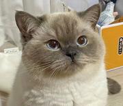 用户9571769966273的个人资料头像