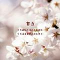 凌晨两点半177440349头像