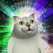 expo的个人资料头像