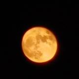 为每个梦想而打造头像