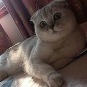 用户4197441151912的个人资料头像