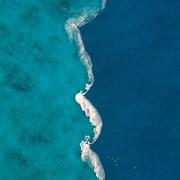 雪白血红的个人资料头像