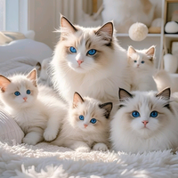 你的专属KTV头像