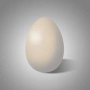 ESTP的个人资料头像