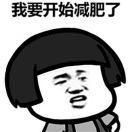 努力学习前端的小白的个人资料头像