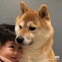 多彩微风5ph头像