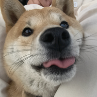 人间不值喜剧头像