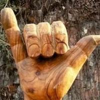 尊贵的前QQ黄钻会员头像