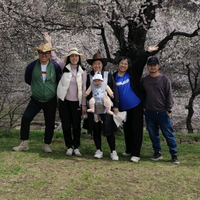 一家老小的旅行头像