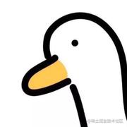 小毛衣的个人资料头像