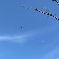 LiangZhang678头像