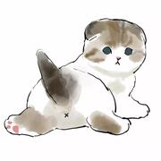 HWzhu的个人资料头像