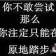 哈哈热
                        头像