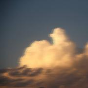 用户5635783381738的个人资料头像