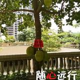 用户7935644212475头像