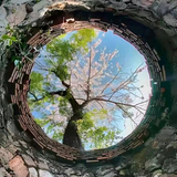 艺都华师头像