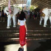 啊呜嗷呜嘤嘤呓呓的个人资料头像