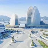珠海阳仔探房头像
