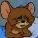 鸡我太美的个人资料头像