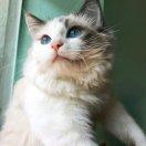 同志48128的个人资料头像