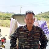 自力更生4838头像