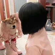 碎碎念252的个人资料头像