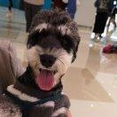 杨小迎的个人资料头像