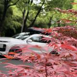 理想先森XS头像