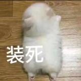用户7913602196731头像