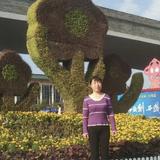 直爽儒雅葡萄MS头像