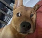 晴天晒太阳的个人资料头像