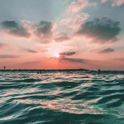 observer_的个人资料头像