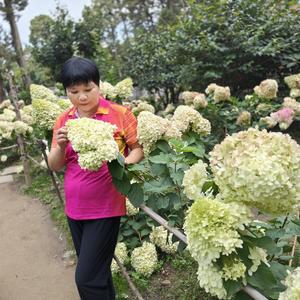 梁婉芬头像