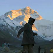 十七530的个人资料头像