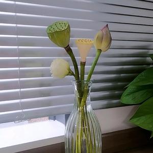 正义凛然奶茶TZmkJ4x头像